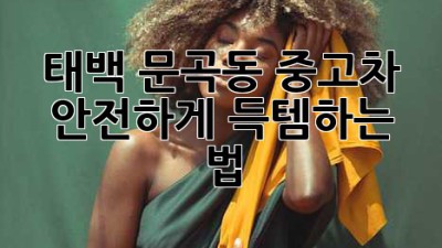 태백 문곡동 중고차, 안전하게 득템하는 법! 🚗💨