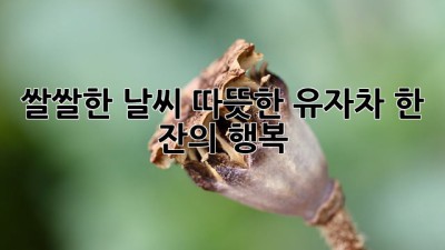 쌀쌀한 날씨, 따뜻한 유자차 한 잔의 행복