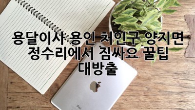용달이사🚚 용인 처인구 양지면 정수리에서 짐싸요! ✨꿀팁 대방출✨